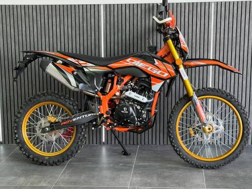 FALCON DIEGO 277