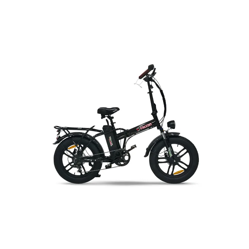 FALCON RİCCO